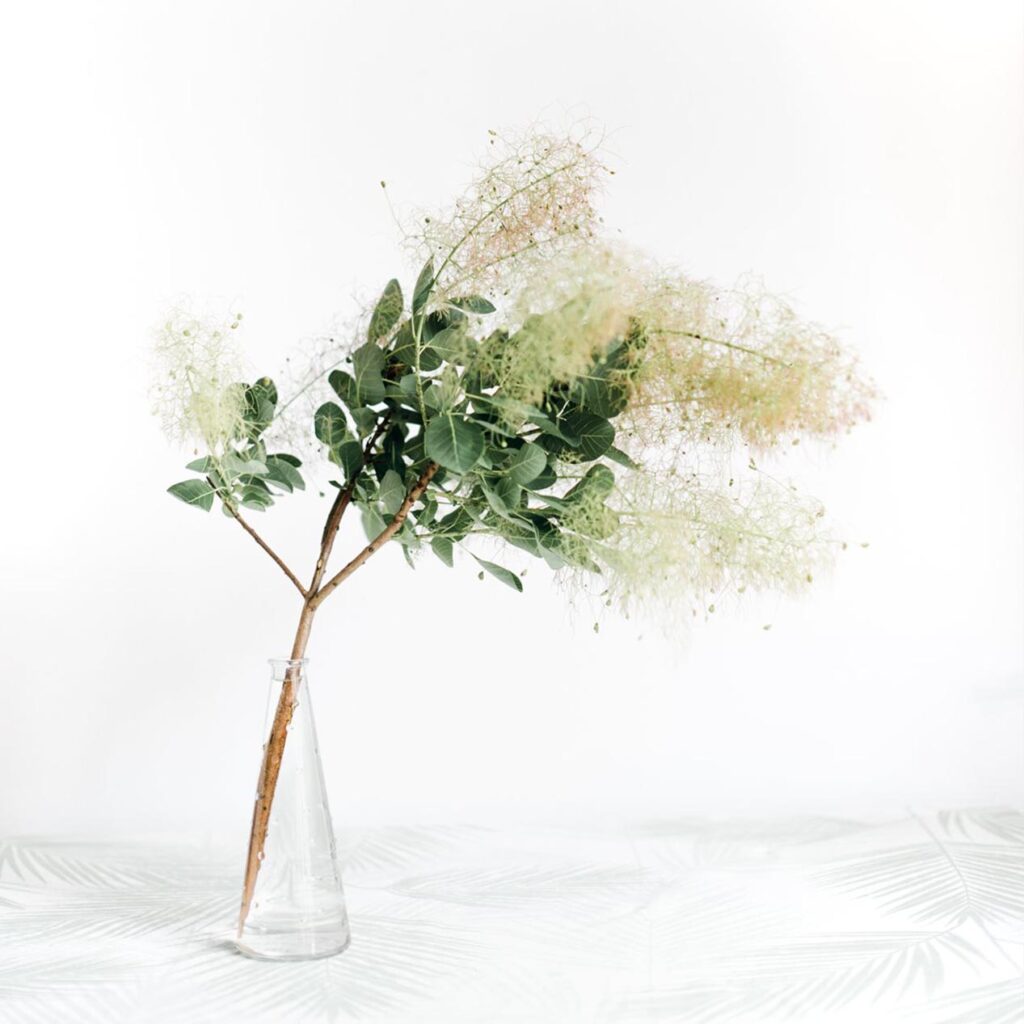 Vaso de flores